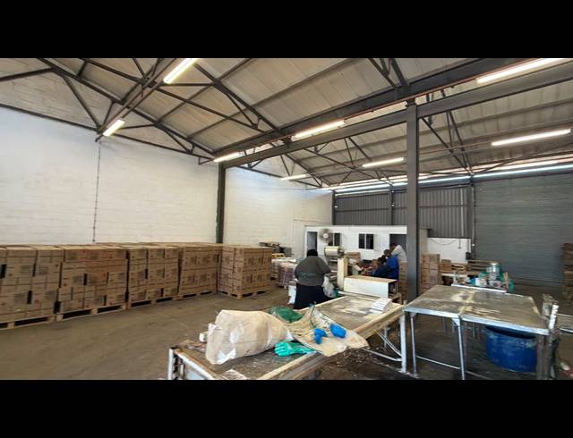 446M² WAREHOUSE TO LET IN EVERITE INDUSTRIA